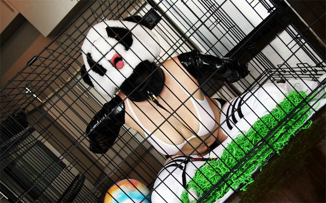 Bizarre panda cosplay porn.