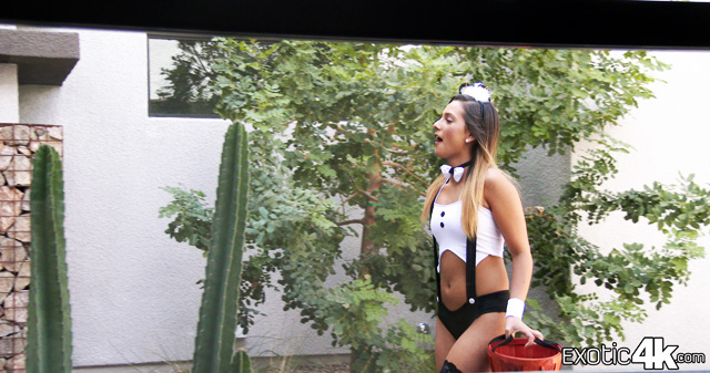 Sexy Halloween anal bunnt Jaye Summers big dick ass fucking sex.