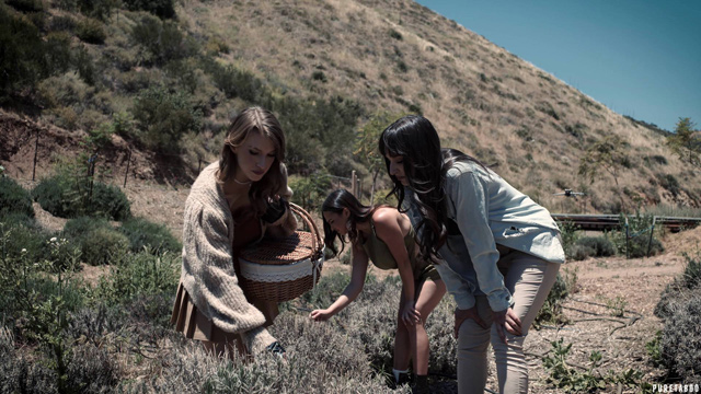Pure Taboo The Doctrine directed by Seth Gamble starring Lexi Luna Octavia Red, Ava Amira, Rissa May Lilly Bell, Remy LaCroix in Adult Time feature film showcased on Porn Corporation.